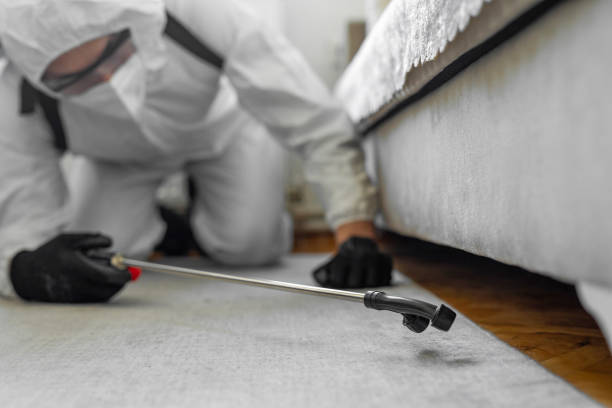 Professional Ant Control technician working in Clay County County, AL